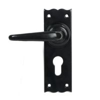 Close-Up of Left Hand Traditional Black Lever Euro Lock Door Handle