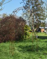 Rose Arch Finished In A Rustic Effect With Detailed Scroll Designs Rose Arch Finished In A Rustic Effect With Detailed Scroll Designs