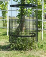 Close up of mesh detailing on black powder coated tree guard