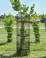 Scale image of wrought iron large tree guard