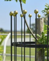 Close up of brass detailing on ornate tree guard