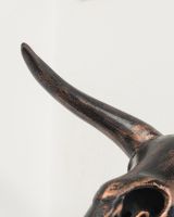 Triceratops Skull Cast Aluminium Wall Art close up of horn