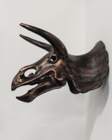 Triceratops Skull Cast Aluminium Wall Art