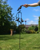 Family of Blackbirds on Spike 