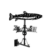 Trout fish weathervane in situ Trout fish weathervane in situ