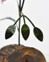 Twin bloom Upcycled Steel Botanical Sculpture in Wooden Base - Pink close up of leaves