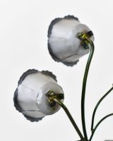 Twin bloom Upcycled Steel Botanical Sculpture in Wooden Base - Silver close up of rear of flowers