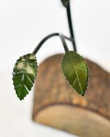 Twin bloom Upcycled Steel Botanical Sculpture in Wooden Base -Green leaves close up Twin bloom Upcycled Steel Botanical Sculpture in Wooden Base -Green leaves close up