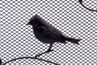 “Two’s Company” Vintage Fire Guard “Two’s Company” Vintage Fire Guard