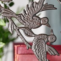 Close up of bird detailing 