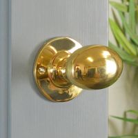 Polished Brass Oval Door Knob Set Polished Brass Oval Door Knob Set