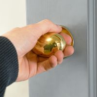 Door Knob in Polished Brass Door Knob in Polished Brass