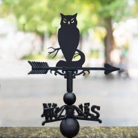 Owl Weathervane in Situ 