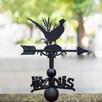 Pheasant Weathervane in Situ 