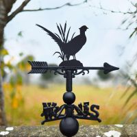 Pheasant Weathervane in Garden 