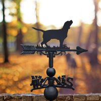 Weathervane with Beagle Topper 