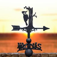 Weathervane with Woodpecker Topper in Situ