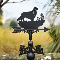 Cavalier King Charles Spaniel Cavalier King Charles Spaniel