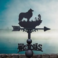 Rough Collie Weathervane in Situ