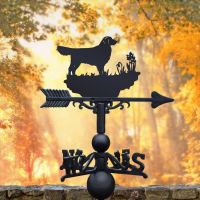 Golden Retriever Weathervane in Situ Golden Retriever Weathervane in Situ