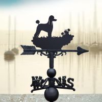 Poodle Weathervane in Situ