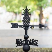 Quirky Pineapple Weathervane 