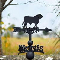 Bull Design on Weathervane 