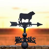 Bull Design on Weathervane 