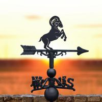 Weathervane with Ram Topper Design 