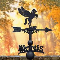 Pegasus Weathervane in Situ 