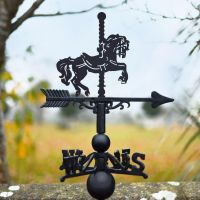 Carousel Horse Weathervane insitu Carousel Horse Weathervane insitu
