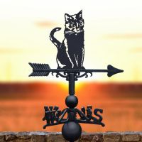 Cat Sitting Weathervane in Situ