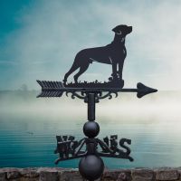 Black Weathervane with Rhodesian Ridgeback Black Weathervane with Rhodesian Ridgeback