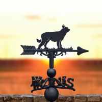 Berger Picard Weathervane 