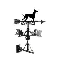 Cast Iron & Steel Xoloitzcuintli Dog Weathervane Mounted