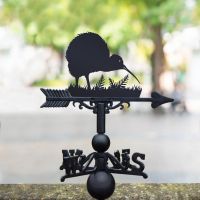 Weathervane with Kiwi Bird Design 