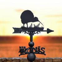 Kiwi Bird Weathervane