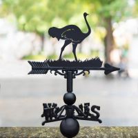 Ostrich Design on Weathervane 