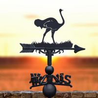 Black Weathervane with Ostrich Design 