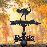 Ostrich Weathervane in Black 