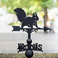 Red Squirrel Weathervane Red Squirrel Weathervane