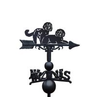 Close-Up of Two Cockapoos Topper