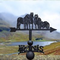 Shetland Ponies Weathervane ion display in a Rural Setting Shetland Ponies Weathervane ion display in a Rural Setting