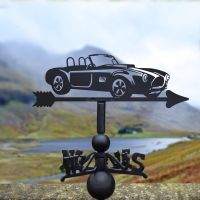 AC Cobra Weathervane in Location