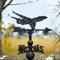 R1 Sentinel Aircraft Steel and Cast Iron Weathervane