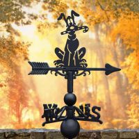 Cartoon Dog with Candy Cane Weathervane in Situ Cartoon Dog with Candy Cane Weathervane in Situ