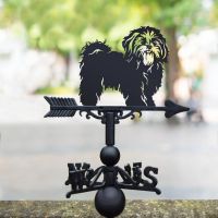 Cast Iron & Steel Shih Tzu Weathervane in Situ Cast Iron & Steel Shih Tzu Weathervane in Situ