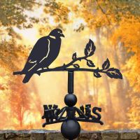 Wood Pigeon Steel and Cast Iron Weathervane in Location