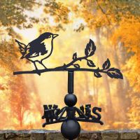 Thrush Steel Weathervane in Autumnal Setting