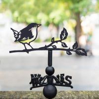 Thrush Weathervane in Location